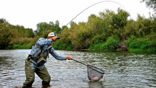 Keep 'em wet, in the net