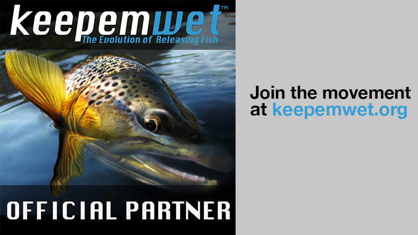 Finsights — Keepemwet Science — Keep Fish Wet