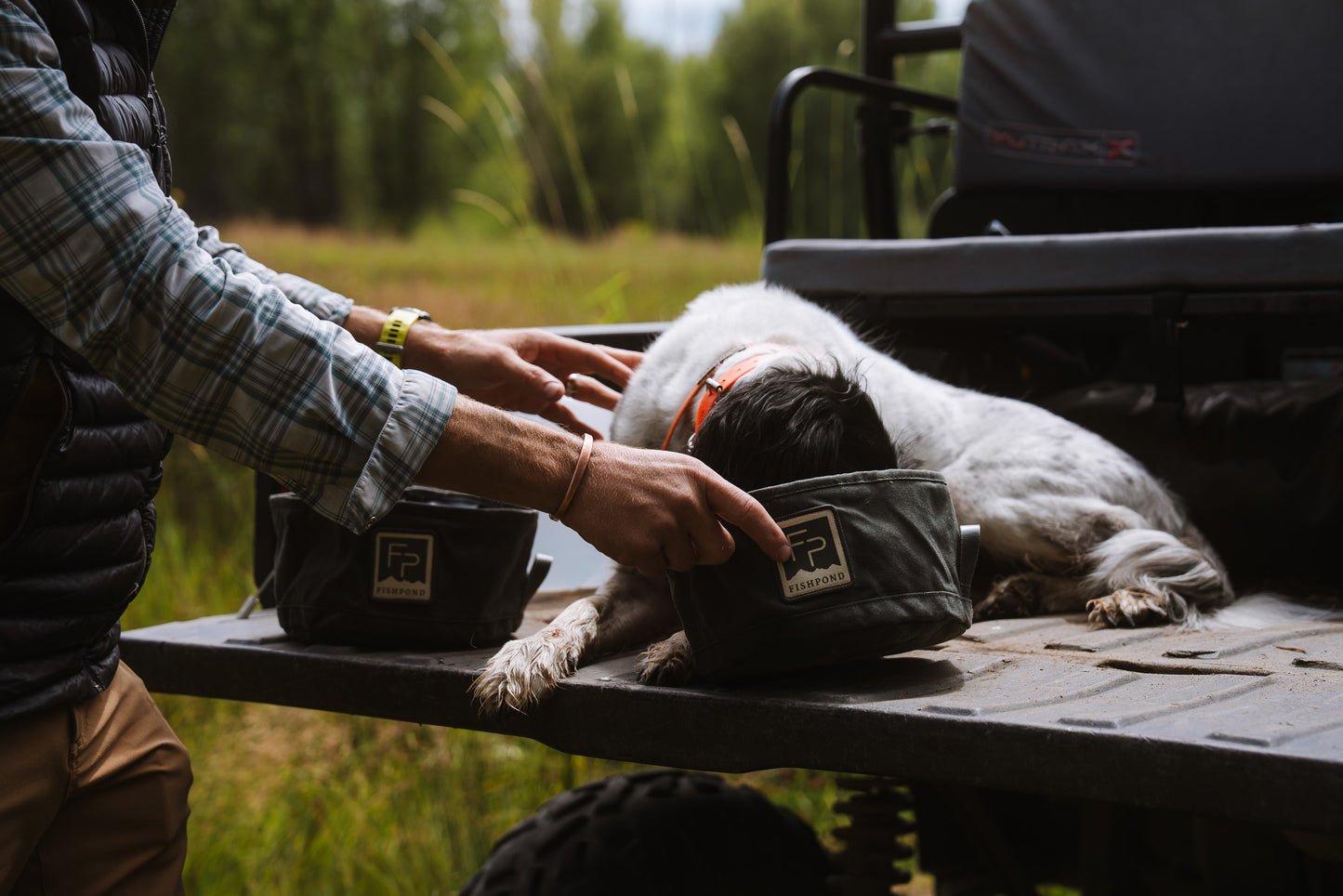 Bow Wow Travel Food Bowl