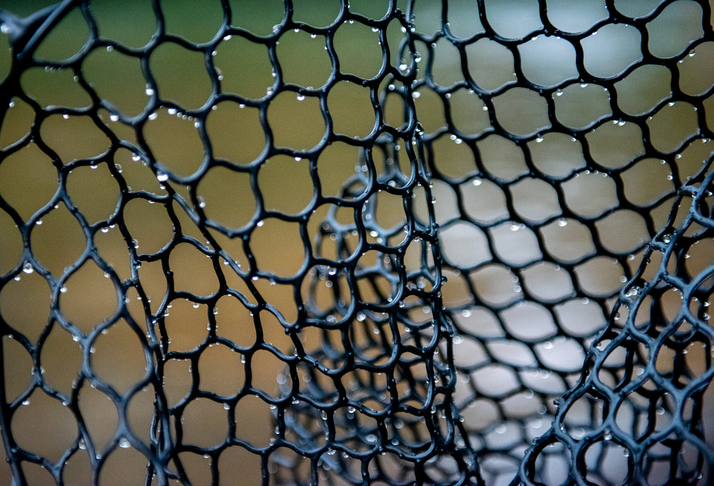 Fishpond Nomad® Mid-Length Boat Net - Wild Run Edition