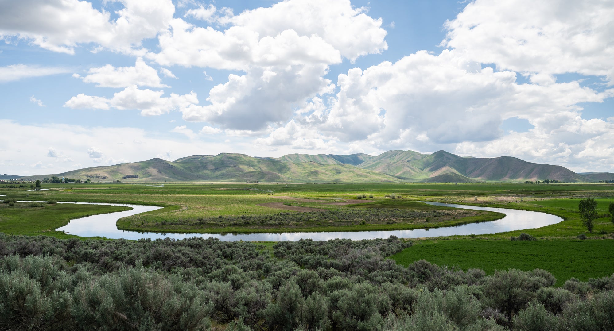 The Creek – Fishpond