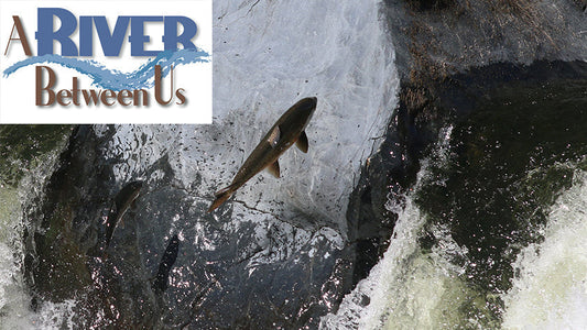 Cover image for A River Between Us