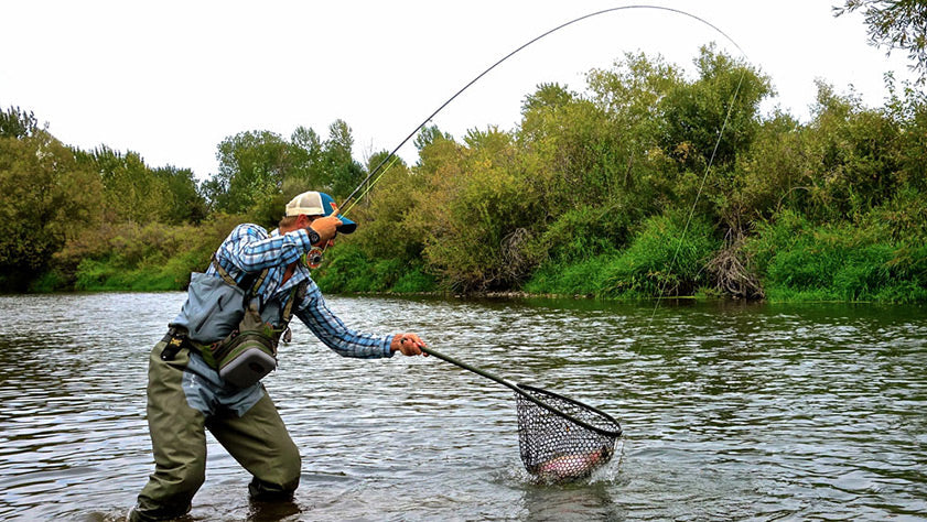 creek fishing with a net Smith Leash, Yoke Mounted Coiled Lanyard : Sports & Outdoors Everything You Never Wanted to