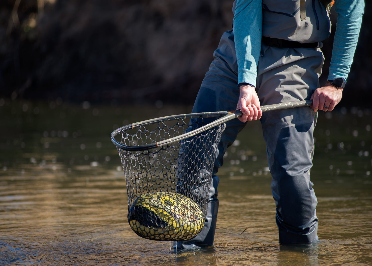 b and q fishing net KastKing Brutus Landing Net, Extends to 31", PVC strength 6063 aluminum alloy Offshore Angler Bait Net |