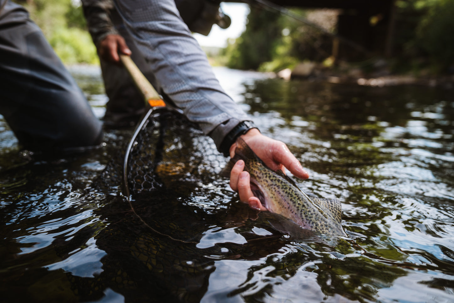 brodin fly fishing ghost replacement net bag landing bags and black rubber landing net bags Built for anglers who push their gear to the limit The Perfect Fishing Net -