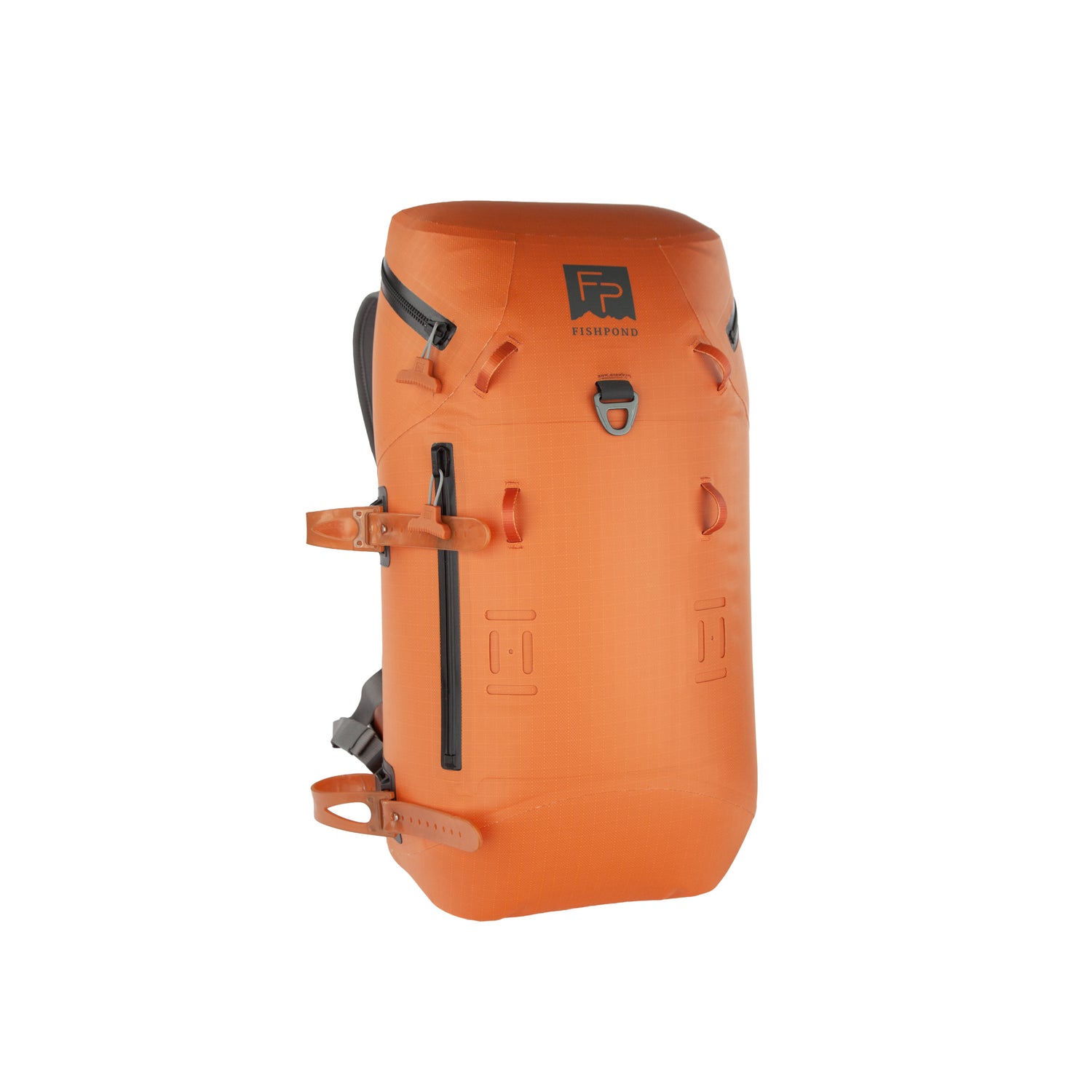 Cutthroat Orange | Studio